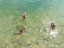IMG_20190802_140323